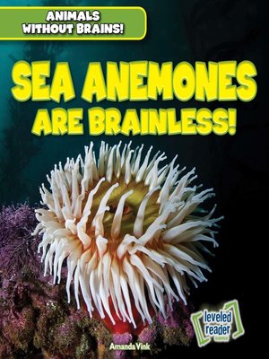 cover image of Sea Anemones Are Brainless!